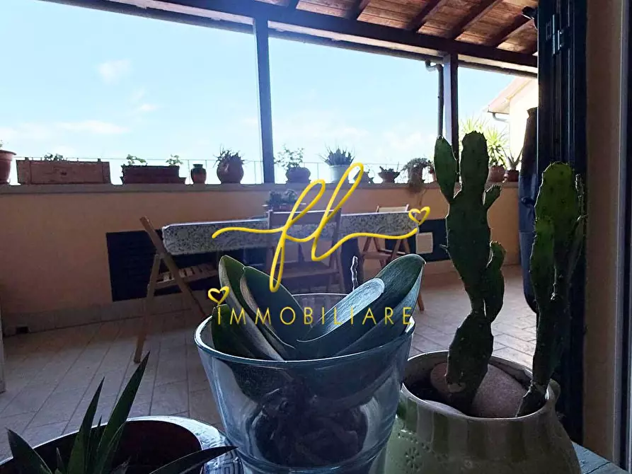 Immagine 28 di Appartamento in vendita  a Cecina