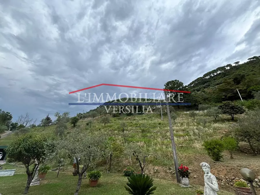 Immagine 12 di Villa in vendita  a Massa