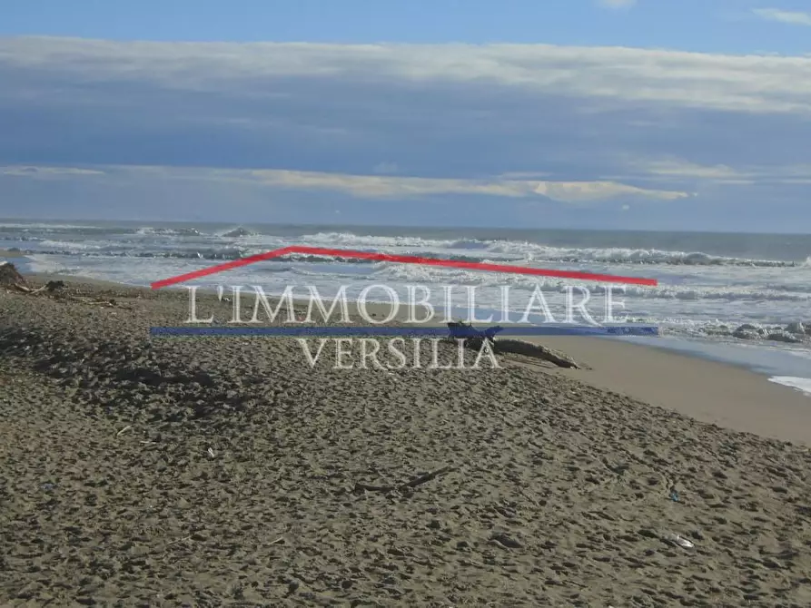 Immagine 5 di Ufficio in vendita  a Massa