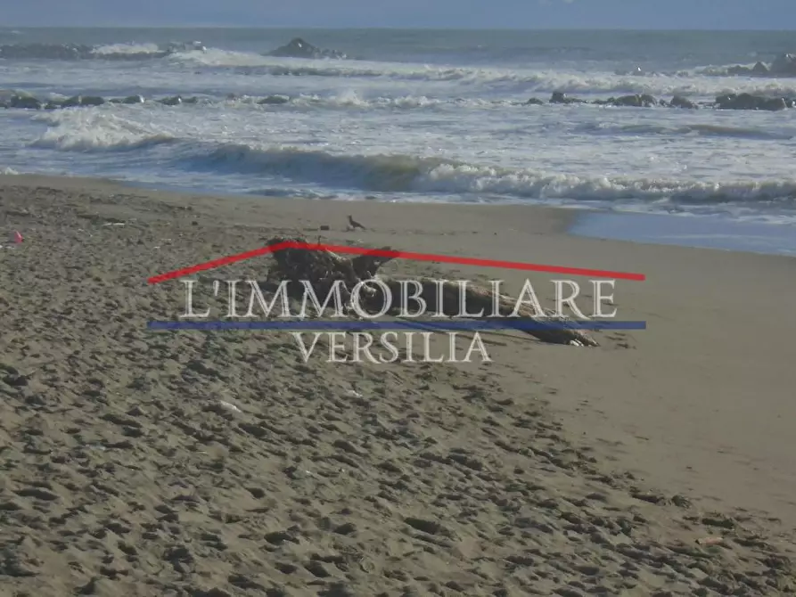 Immagine 6 di Ufficio in vendita  a Massa