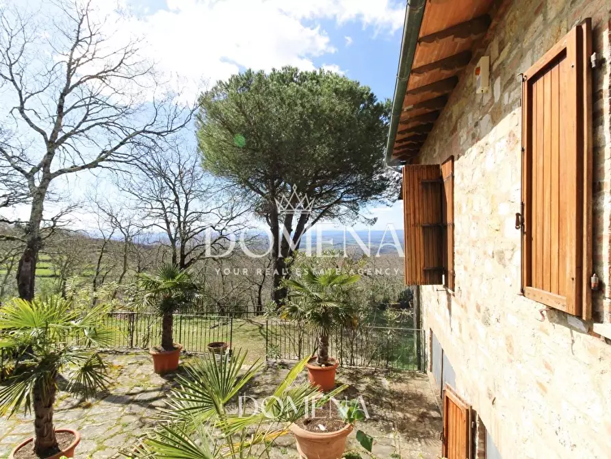 Immagine 29 di Villa in vendita  a Castelnuovo Berardenga