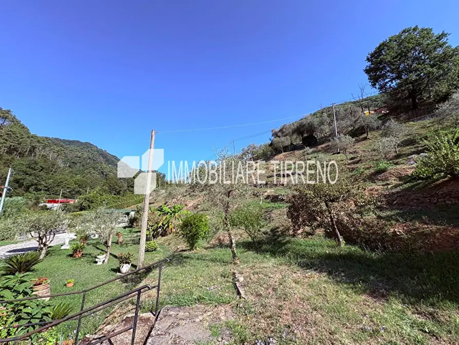 Immagine 23 di Villa in vendita  a Massa