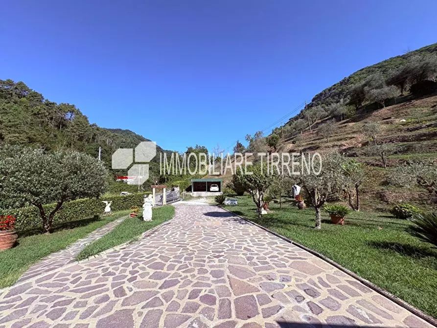 Immagine 3 di Villa in vendita  a Massa