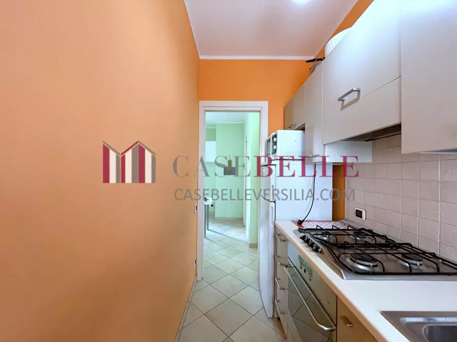 Immagine 13 di Appartamento in vendita  a Camaiore