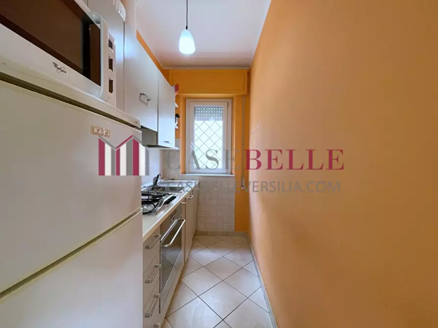 Immagine 11 di Appartamento in vendita  a Camaiore