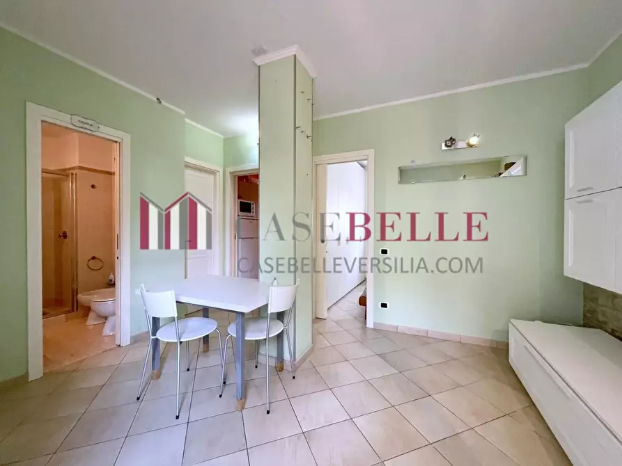 Immagine 2 di Appartamento in vendita  a Camaiore