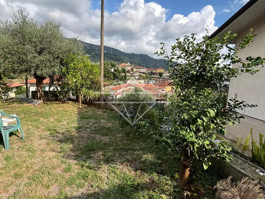 Immagine 14 di Appartamento in vendita  a Massa