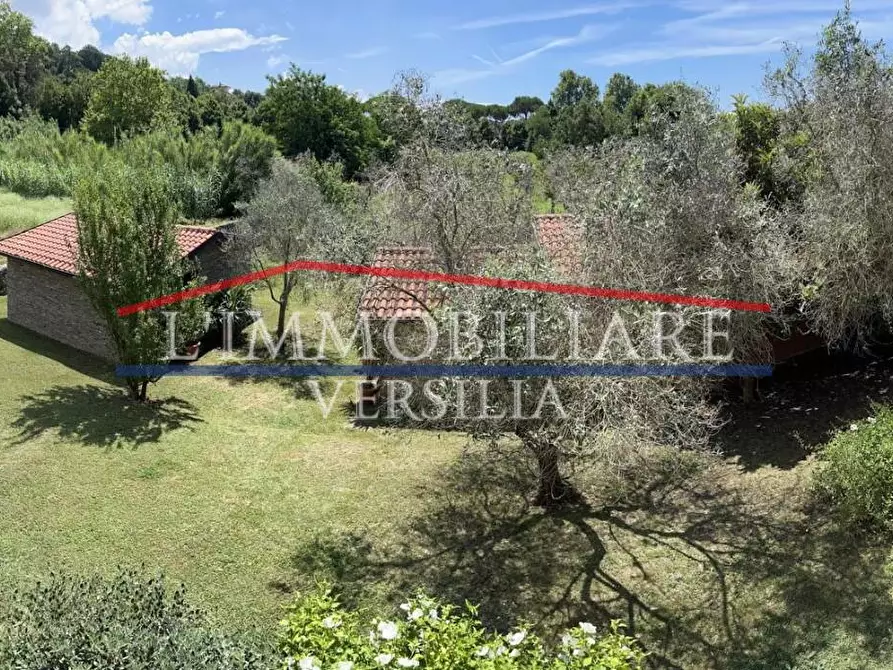 Immagine 8 di Villa in vendita  a Carrara