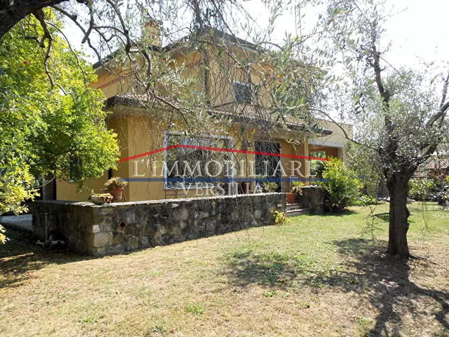 Immagine 6 di Villa in vendita  a Carrara