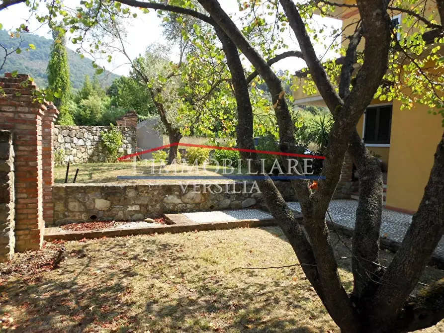 Immagine 59 di Villa in vendita  a Carrara