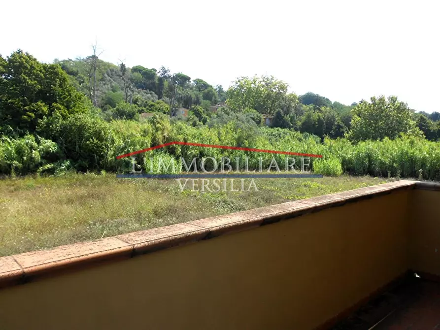 Immagine 49 di Villa in vendita  a Carrara