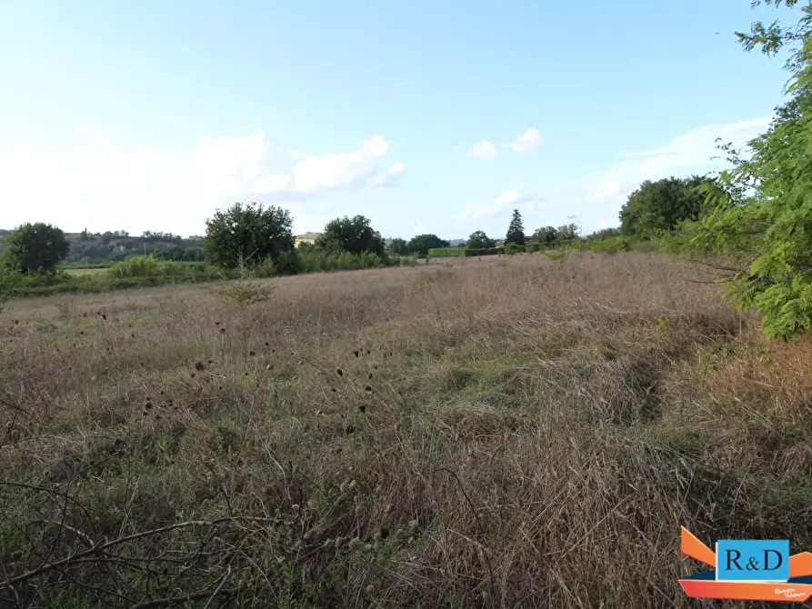Immagine 4 di Terreno agricolo in vendita  a Colle Di Val D'elsa
