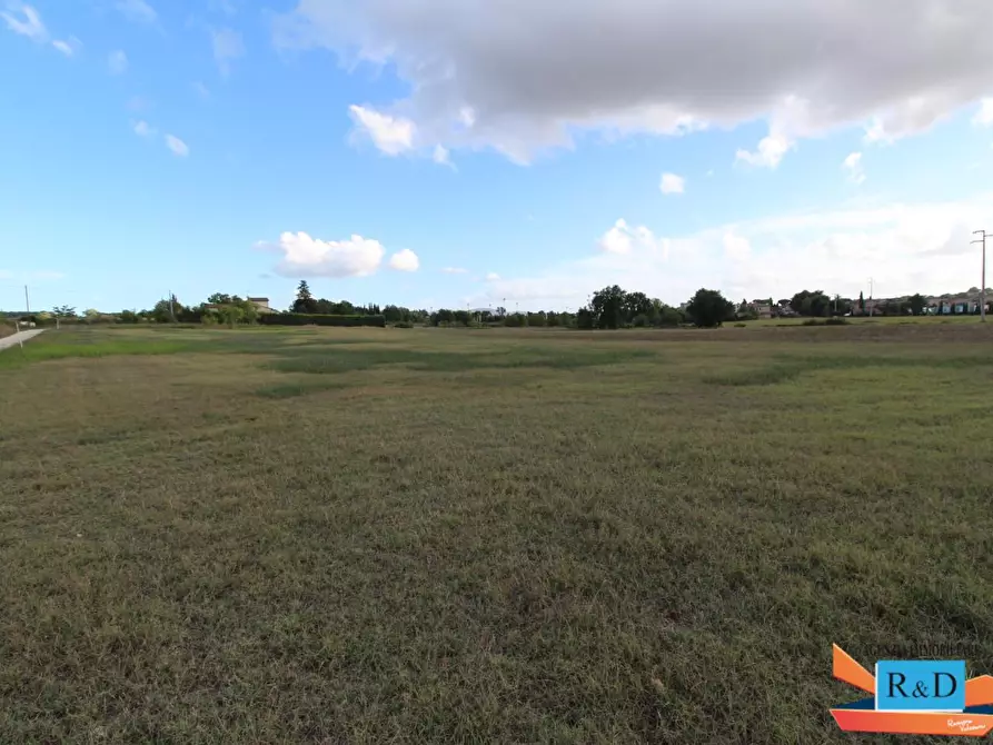 Immagine 2 di Terreno agricolo in vendita  a Colle Di Val D'elsa