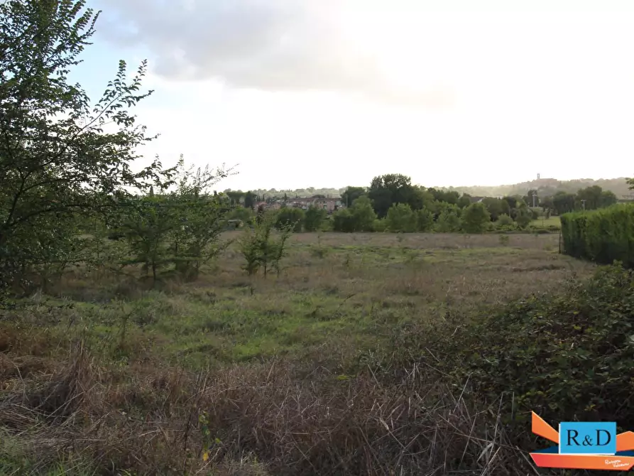 Immagine 3 di Terreno agricolo in vendita  a Colle Di Val D'elsa