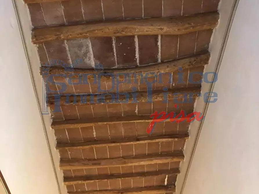 Immagine 9 di Appartamento in vendita  a Pisa