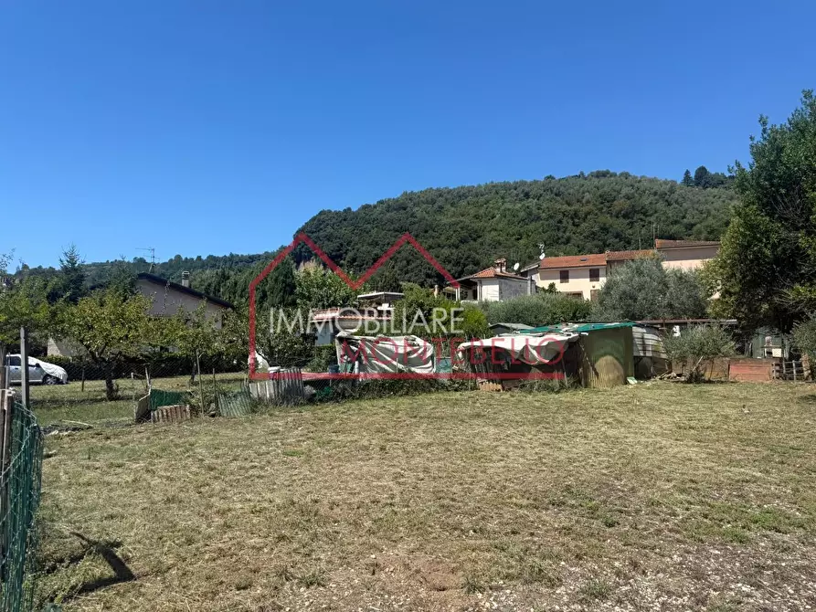 Immagine 22 di Casa bifamiliare in vendita  a Camaiore