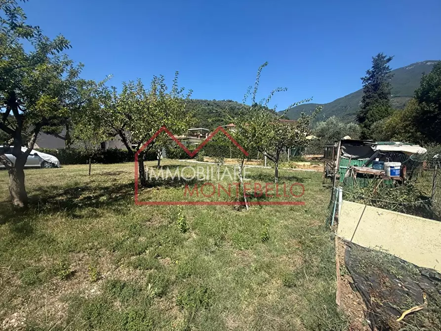 Immagine 14 di Casa bifamiliare in vendita  a Camaiore