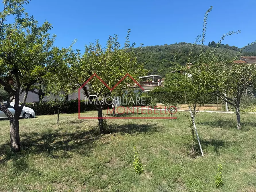 Immagine 13 di Casa bifamiliare in vendita  a Camaiore