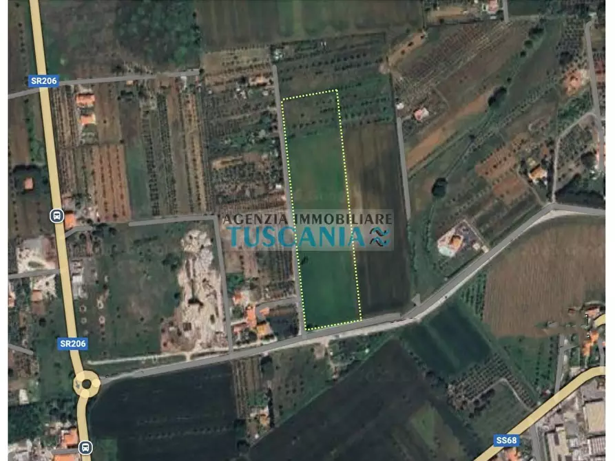 Immagine 1 di Terreno agricolo in vendita  a Cecina