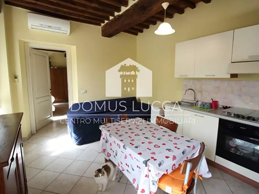 Immagine 8 di Appartamento in vendita  a Camaiore