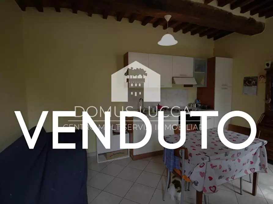 Immagine 1 di Appartamento in vendita  a Camaiore