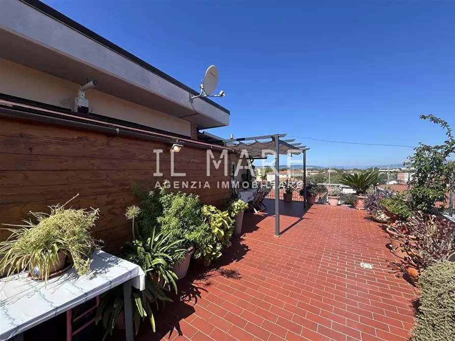 Immagine 6 di Mansarda in vendita  a Massa