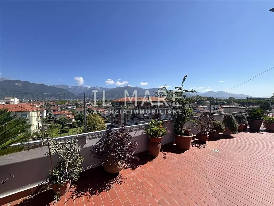 Immagine 3 di Mansarda in vendita  a Massa