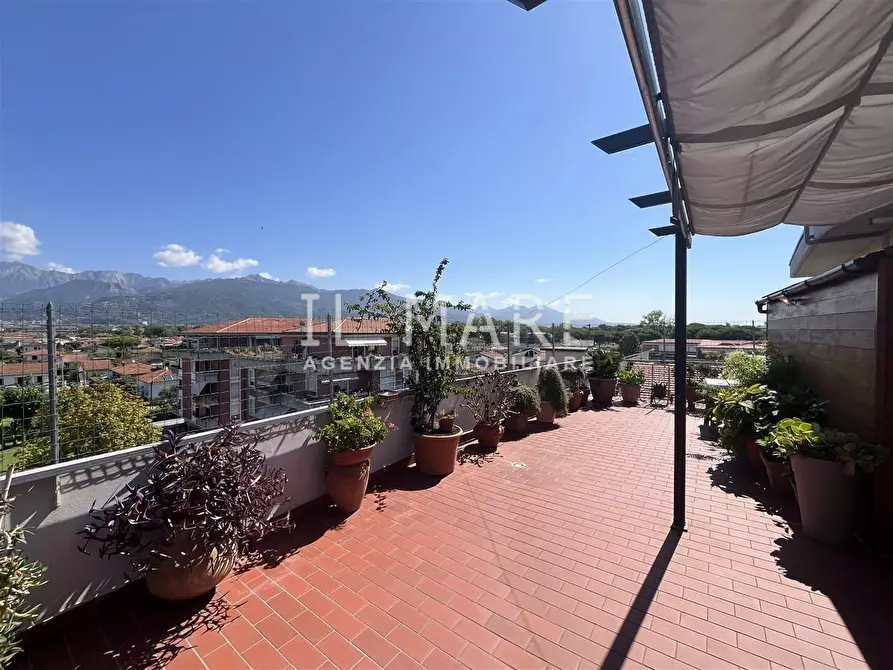 Immagine 4 di Mansarda in vendita  a Massa