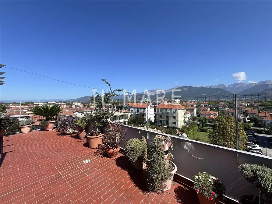 Immagine 5 di Mansarda in vendita  a Massa