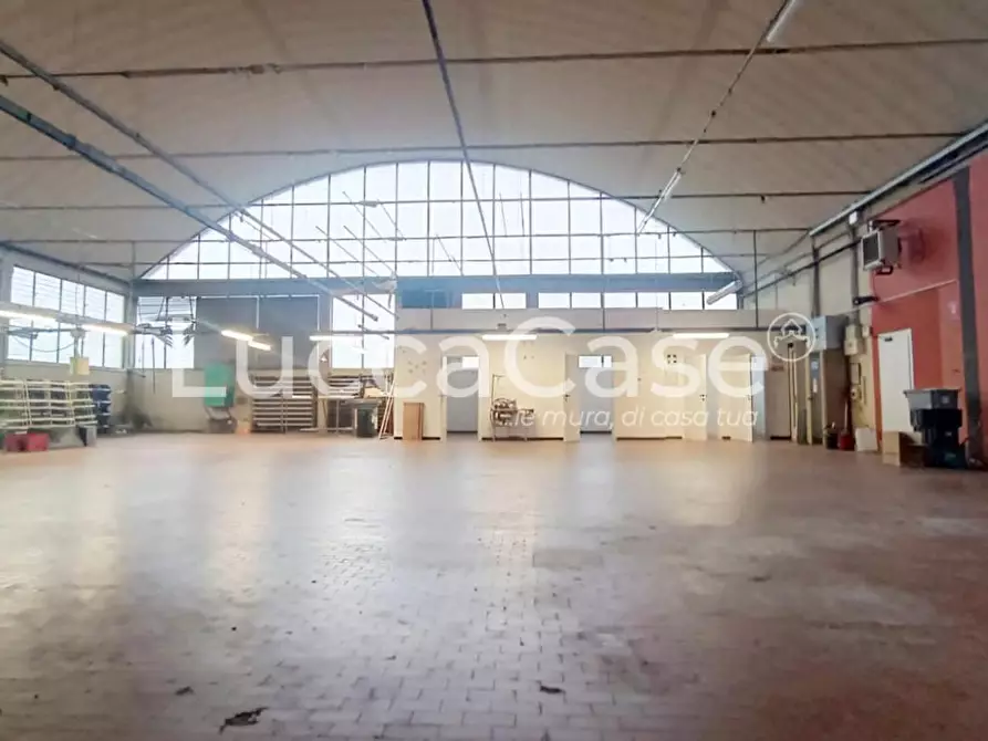 Immagine 3 di Capannone industriale in affitto  a Capannori