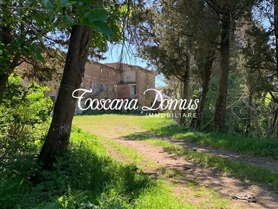 Immagine 19 di Rustico / casale in vendita  a Asciano