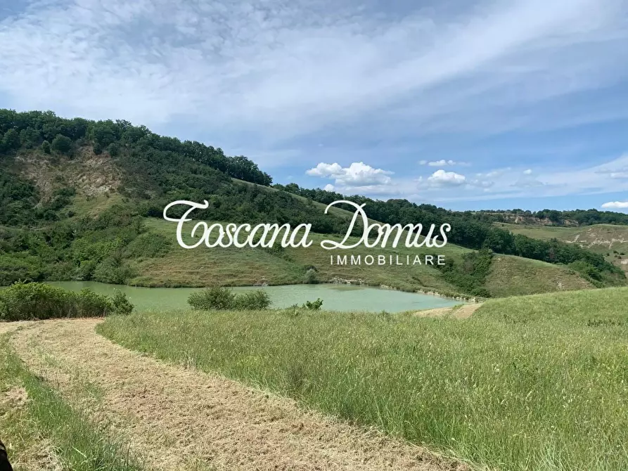 Immagine 11 di Rustico / casale in vendita  a Asciano