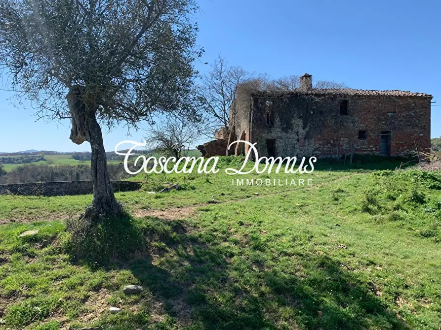 Immagine 10 di Rustico / casale in vendita  a Asciano