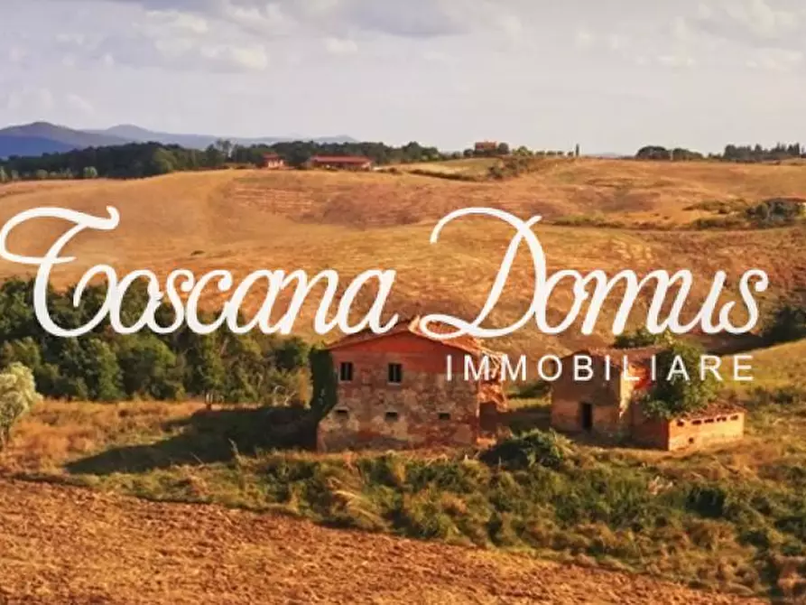 Immagine 2 di Rustico / casale in vendita  a Asciano