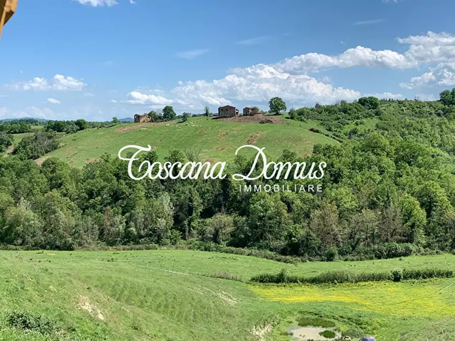 Immagine 14 di Rustico / casale in vendita  a Asciano