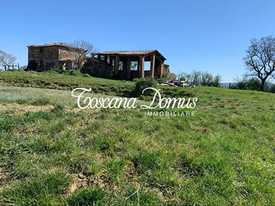 Immagine 8 di Rustico / casale in vendita  a Asciano