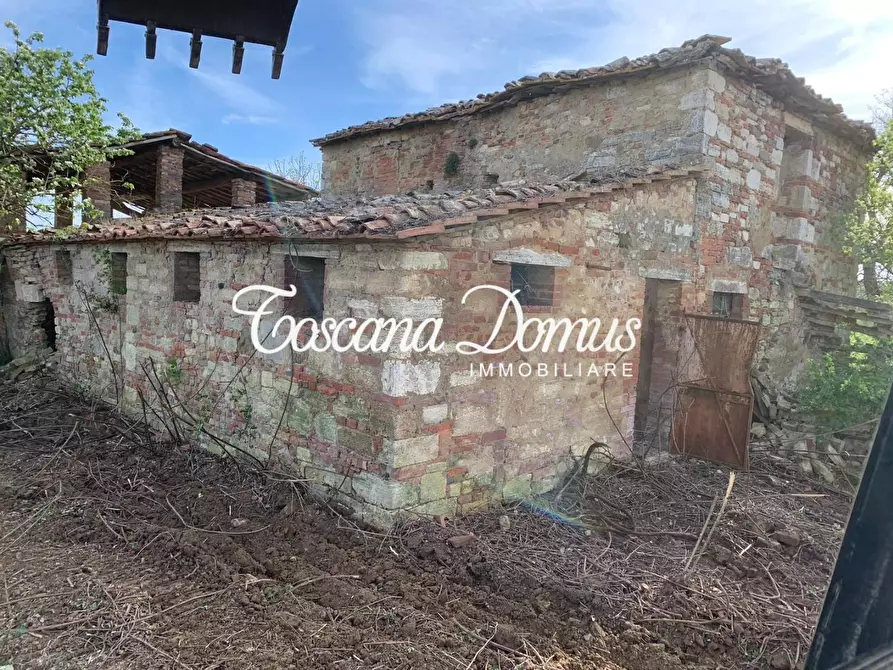 Immagine 16 di Rustico / casale in vendita  a Asciano
