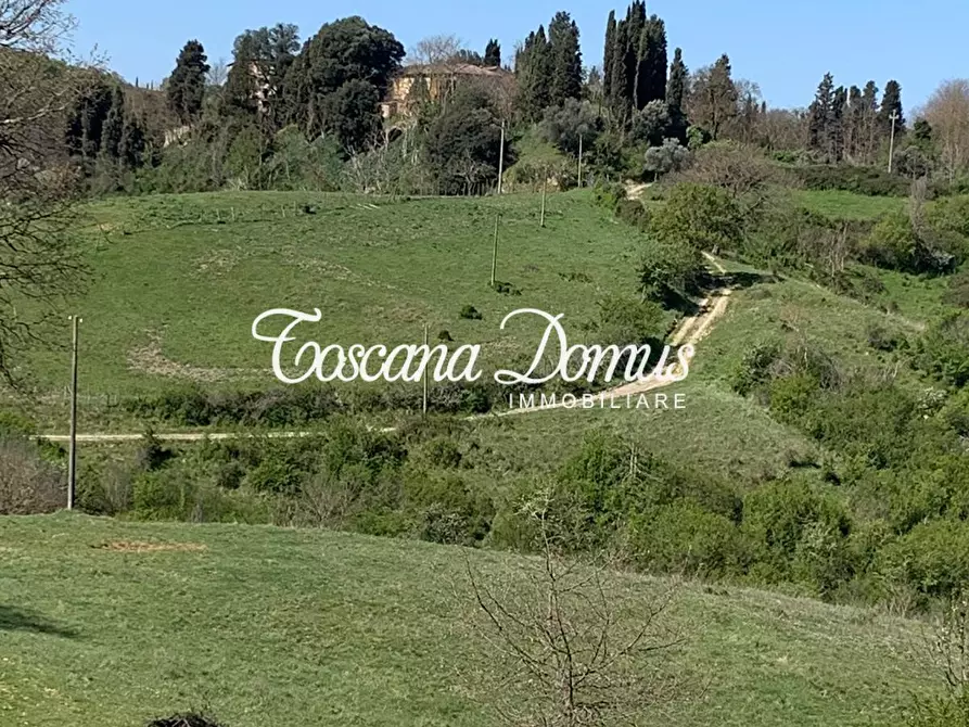 Immagine 9 di Rustico / casale in vendita  a Asciano