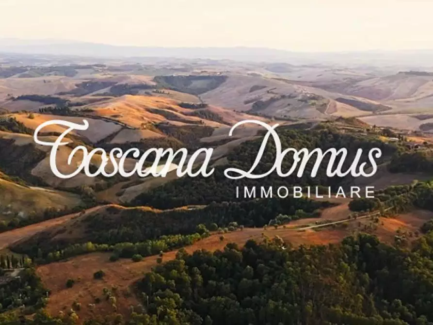 Immagine 4 di Rustico / casale in vendita  a Asciano