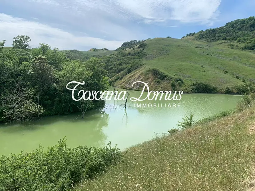 Immagine 18 di Rustico / casale in vendita  a Asciano