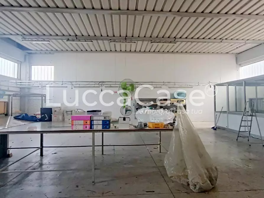 Immagine 5 di Attività artigianale in affitto  a Lucca