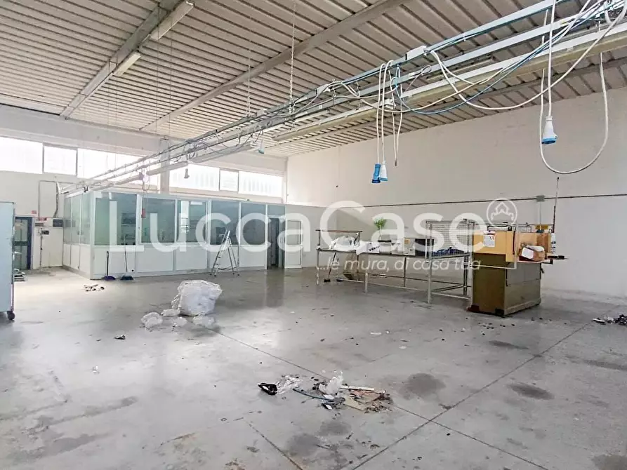 Immagine 3 di Attività artigianale in affitto  a Lucca