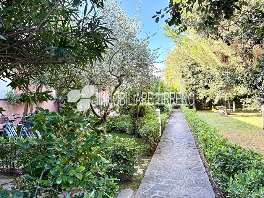 Immagine 19 di Villetta a schiera in vendita  a Massa