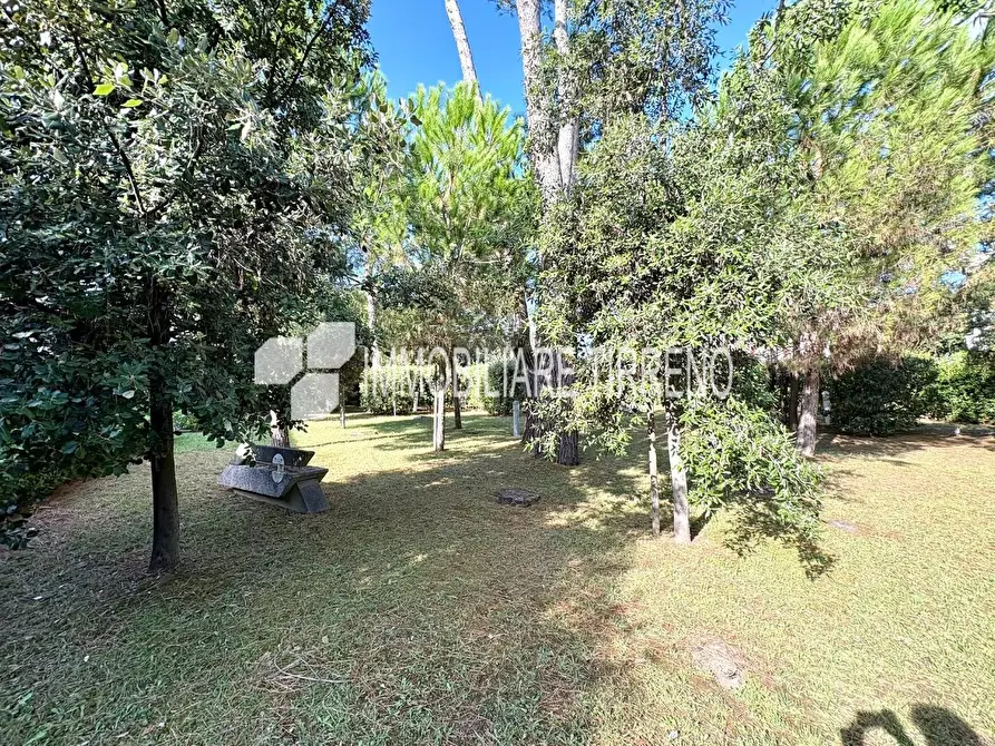 Immagine 21 di Villetta a schiera in vendita  a Massa