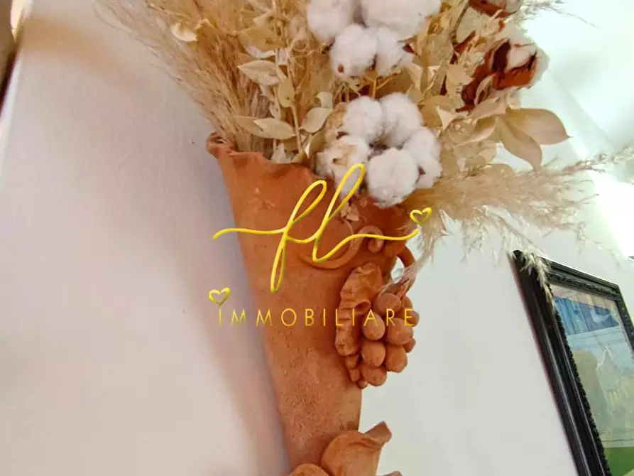 Immagine 16 di Appartamento in vendita  a Rosignano Marittimo