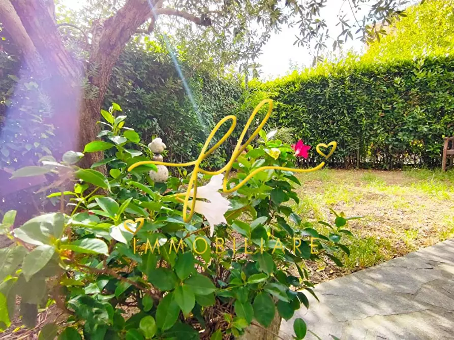 Immagine 22 di Appartamento in vendita  a Rosignano Marittimo