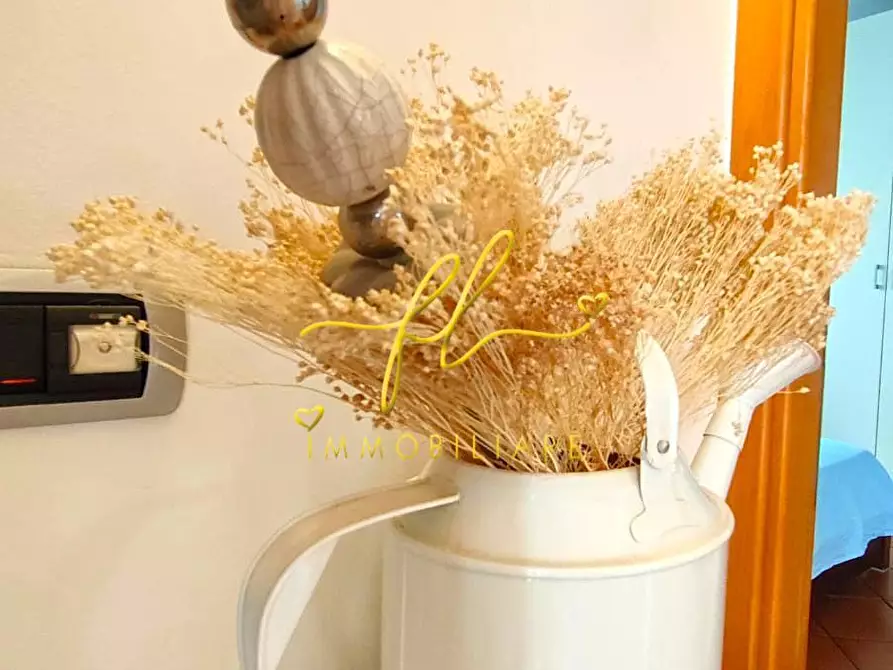 Immagine 10 di Appartamento in vendita  a Rosignano Marittimo