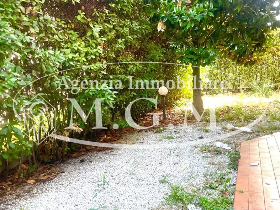 Immagine 15 di Appartamento in vendita  a Pontedera