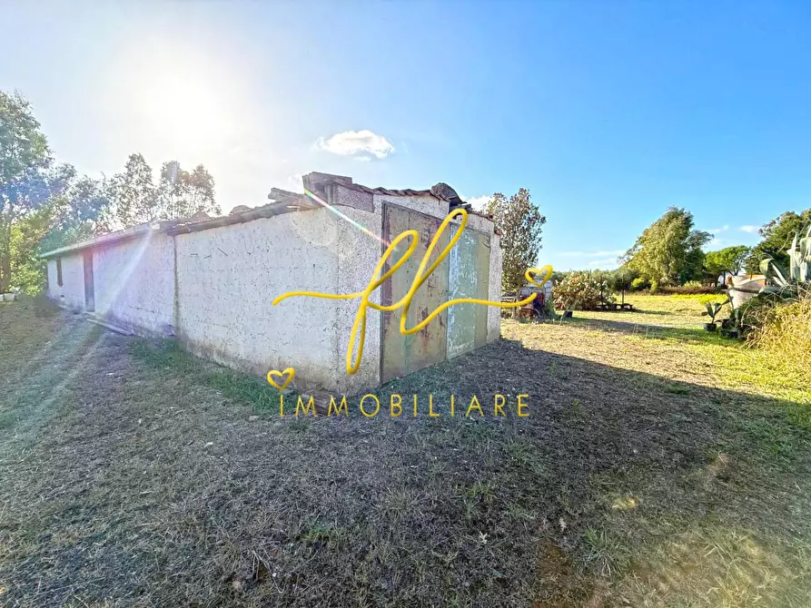 Immagine 6 di Terreno agricolo in vendita  a Cecina