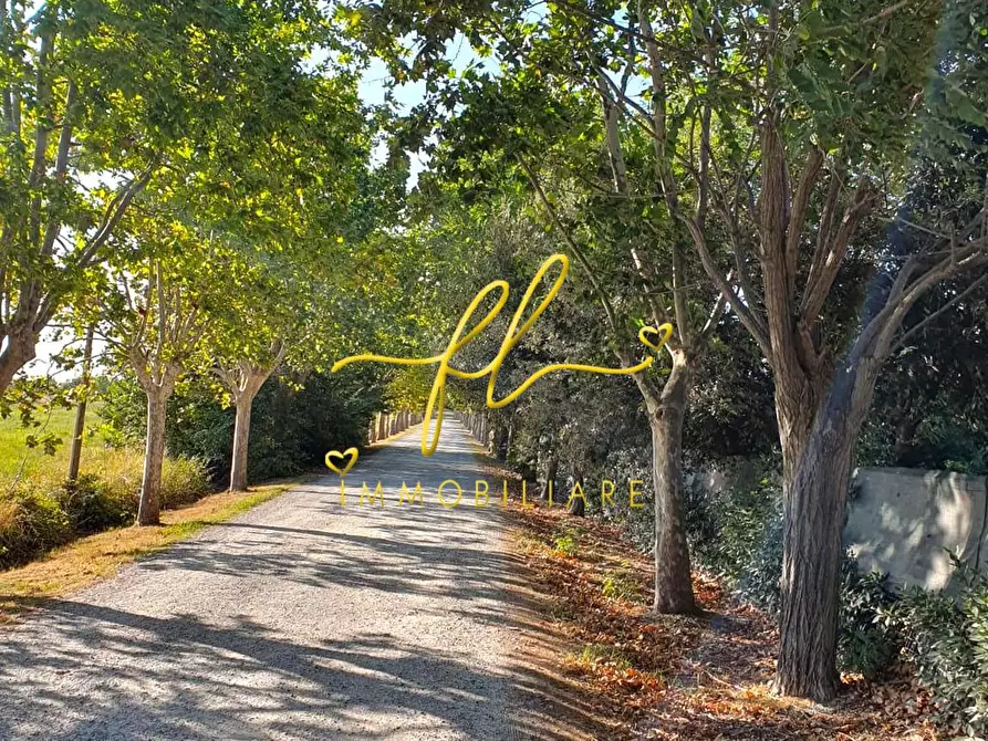 Immagine 15 di Appartamento in vendita  a Cecina